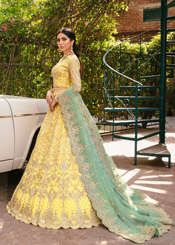 Akbar Aslam Ilona Layali Wedding Collection Online Shopping